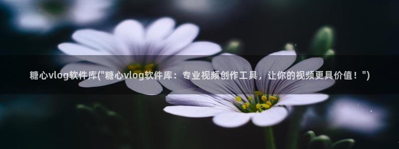 甜蜜惩罚糖心vlog