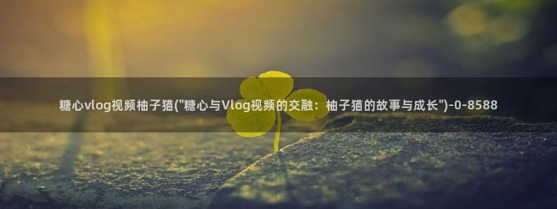 糖心vlog雷姆