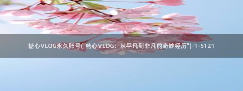 糖心vlog up小桃