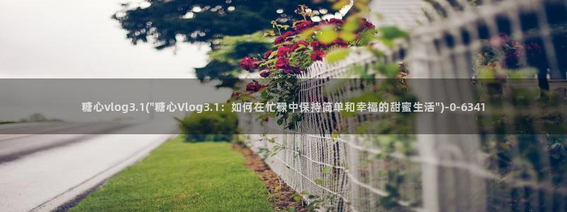 糖心小桃vlog资源